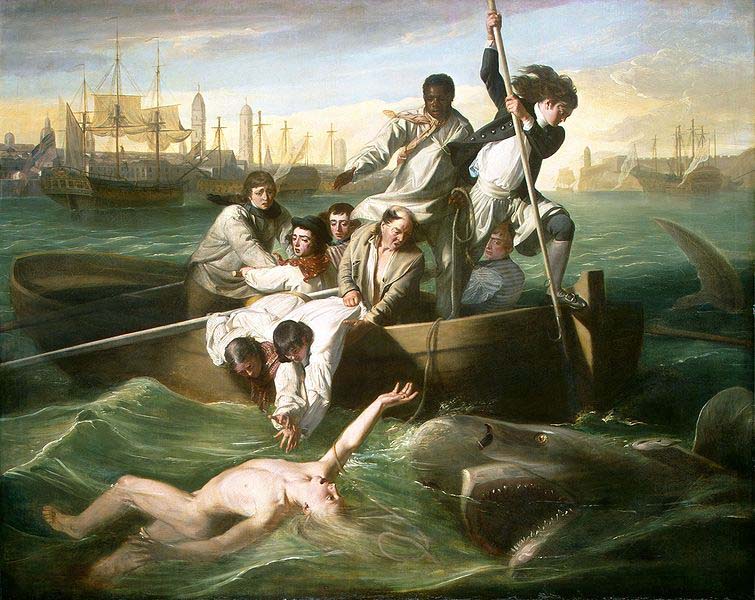 Watson and the Shark (1778) depicts the rescue of Brook Watson from a shark attack in Havana, Cuba.
